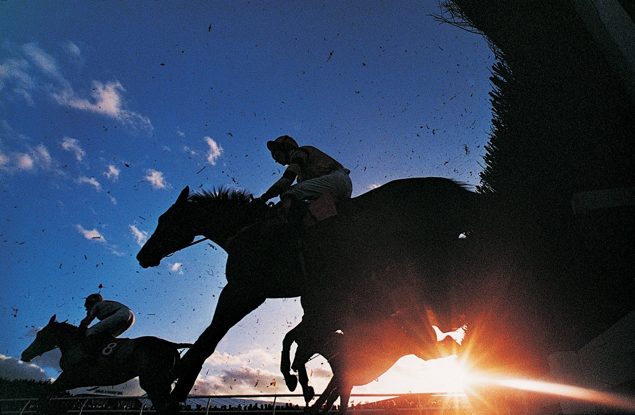 Who Won the First Kentucky Derby?