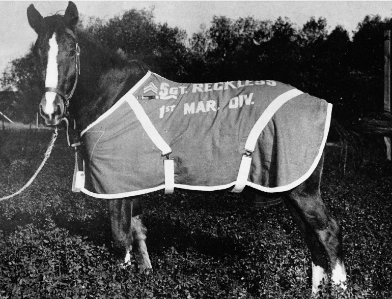 Episode 3: Sergeant Reckless, America’s Korean War Horse & The First Woman to Ride Solo Across North America